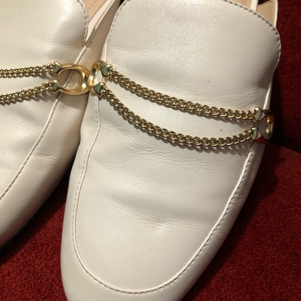 Coach slides - Picture 2 of 6